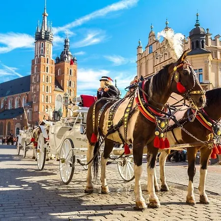 شقة Mogilska Modern - Free Parking - By Hosty *